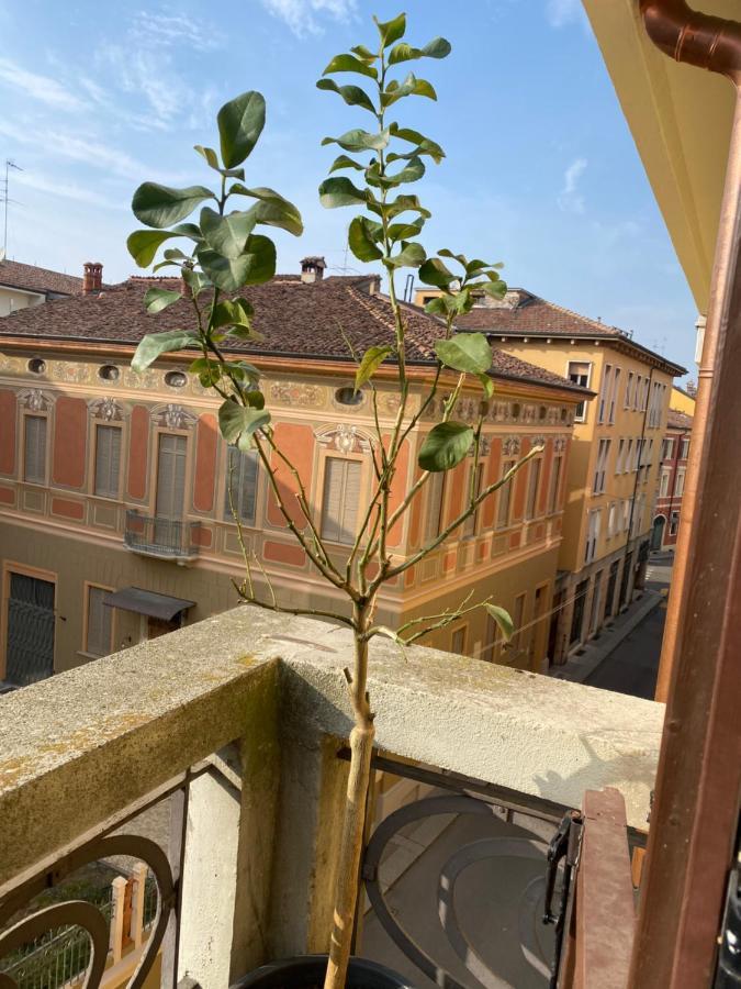 Loft Manzoni 37 Apartment Cremona Exterior photo